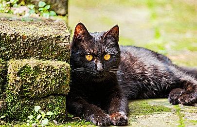 英国实体周榜：《暗黑4》跌至第三《塞尔达》重登榜首